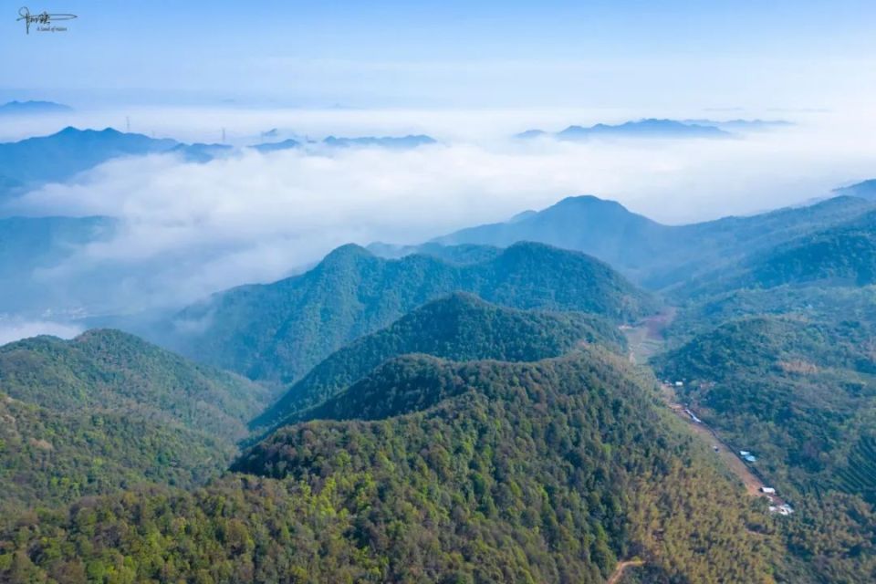 富阳最高的山图片