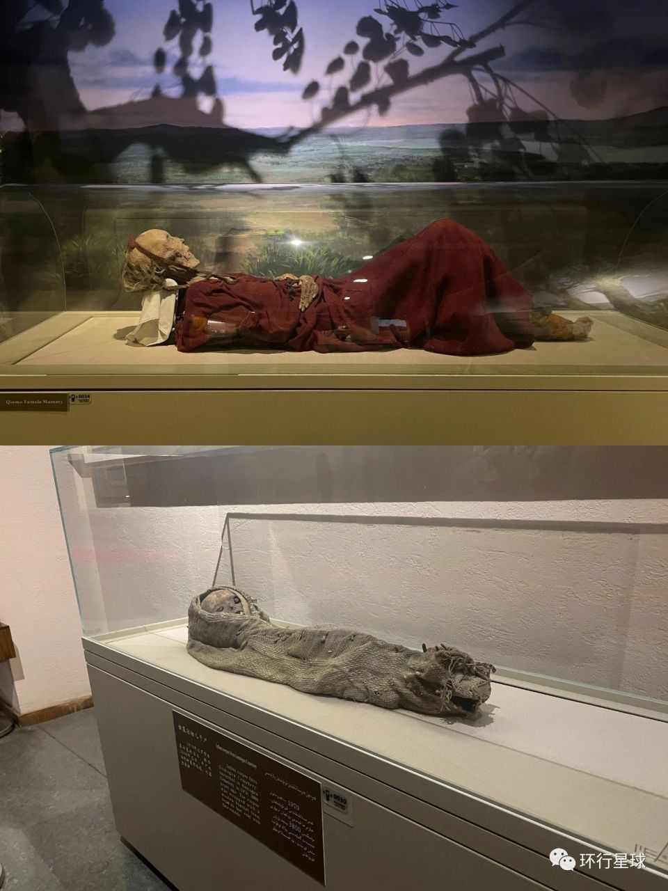 新疆干尸,终于看见了_腾讯新闻