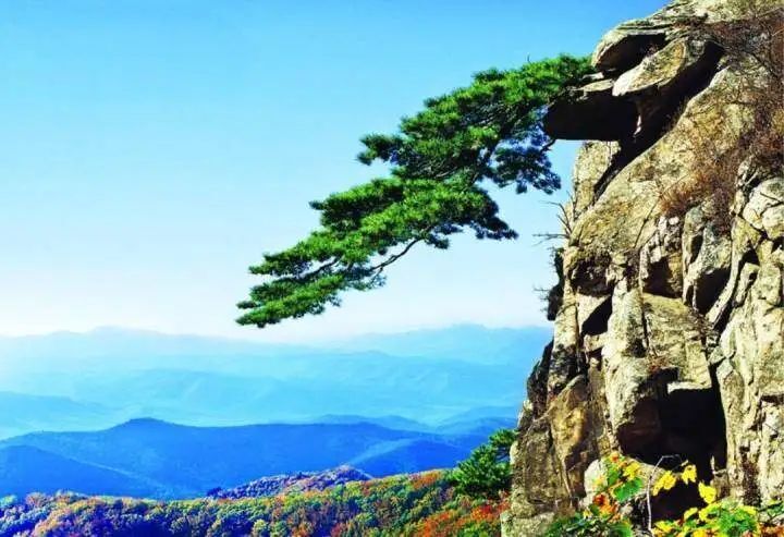 何处寻青绿?西丰县"两山"解锁生态游新模式