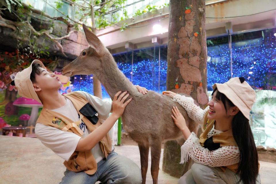 超1500场明星动物见面会等着你!广州正佳星球超级萌宠节启动