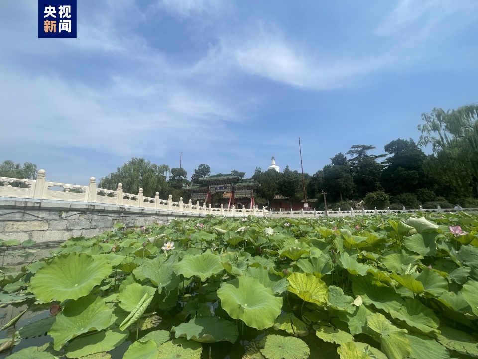 魯中晨報：澳門最快資料免費開獎大全除故宮國博等 北京旅游景區(qū)全面取消預約