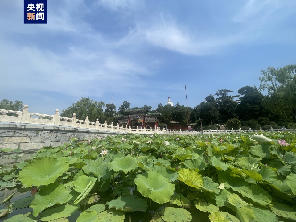 微信朋友圈：澳门六叔最近的视频除故宫国博等 北京旅游景区全面取消预约