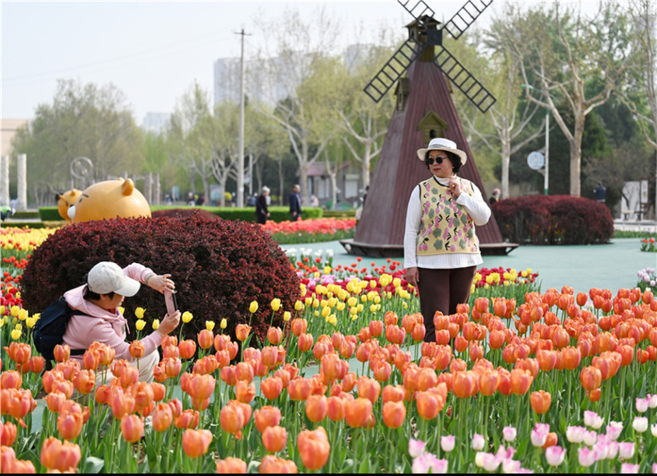 保定市植物园门票图片