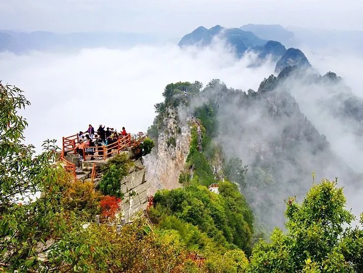 神农山宣传语正在征集!_腾讯新闻