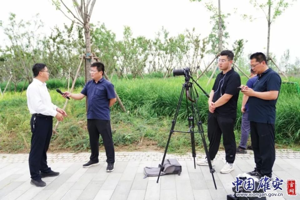 各级媒体点赞白洋淀大美风光——白洋淀主题集体采访侧记