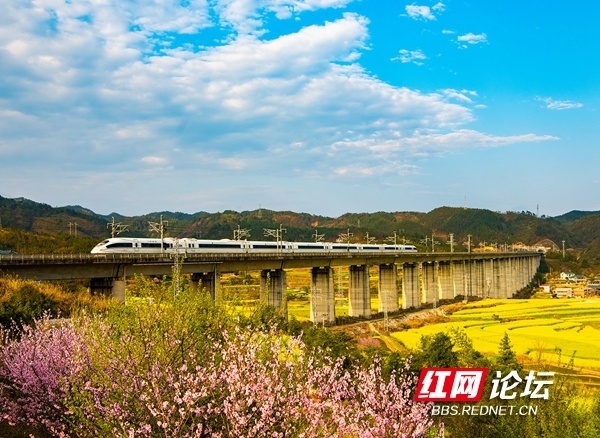 怀化市中方县开往春天的高铁