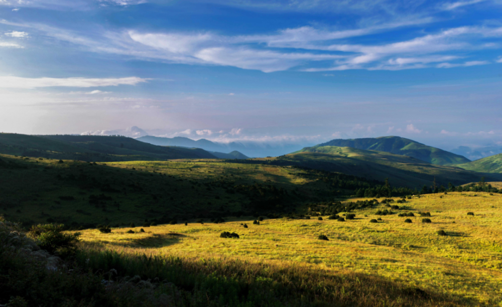 百草坡波洛云海龙窝燕子洞狮子山金阳正处于发展大跨越的黄金期,前景