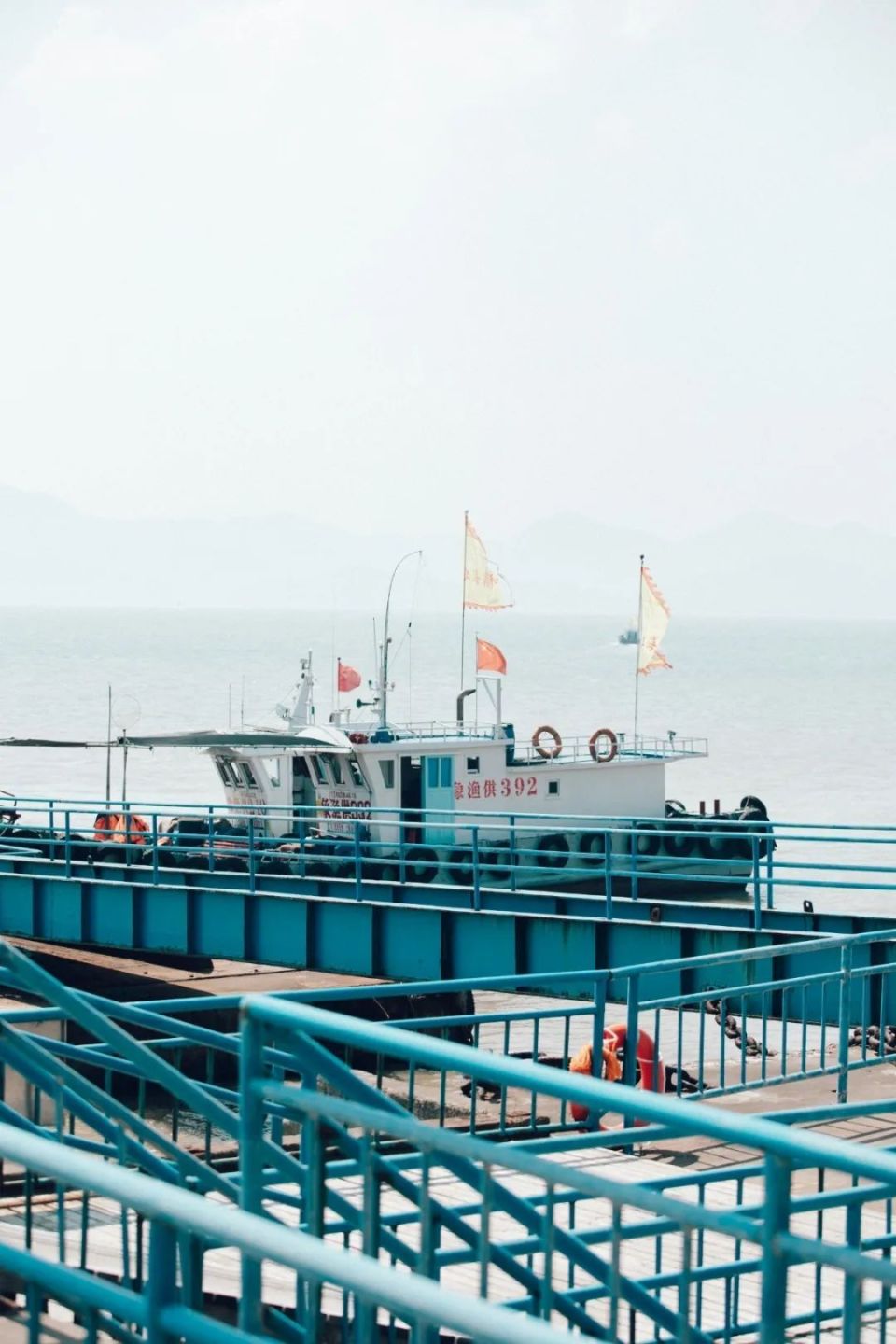 >>> 避世海岛,露营圣地海岛住宿推荐:泥鳅部落,在田野花岙营地海岛