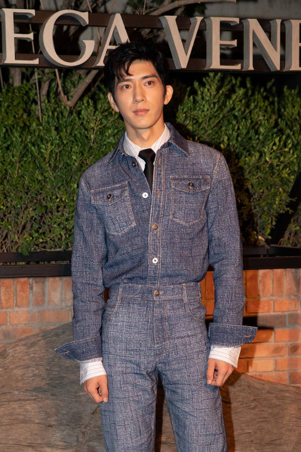 angelababy杨颖,井柏然,刘涛,白百何,孙燕姿,米卡,胡一天,董洁,郭采洁