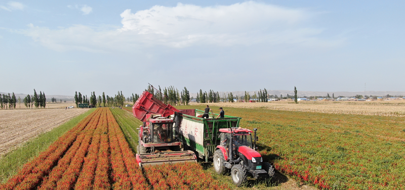 欢迎你来品尝,这远路上的新疆饭_腾讯新闻