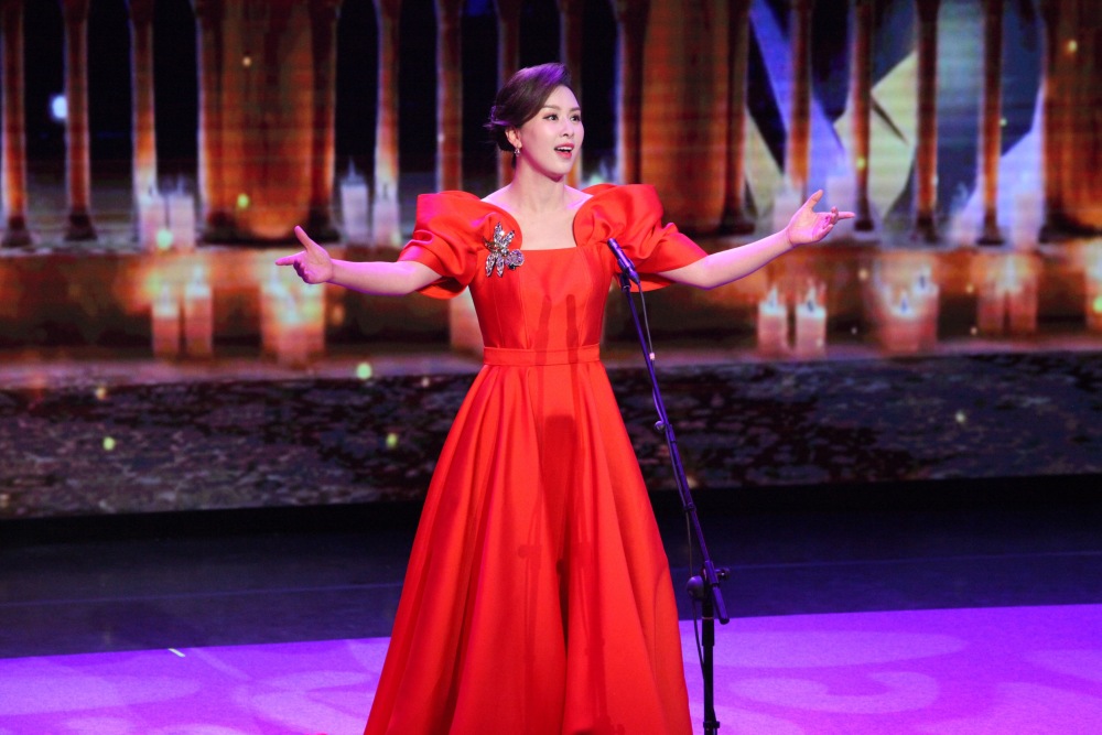 青年歌唱家王雅洁上演《追寻》专场-腾讯新闻