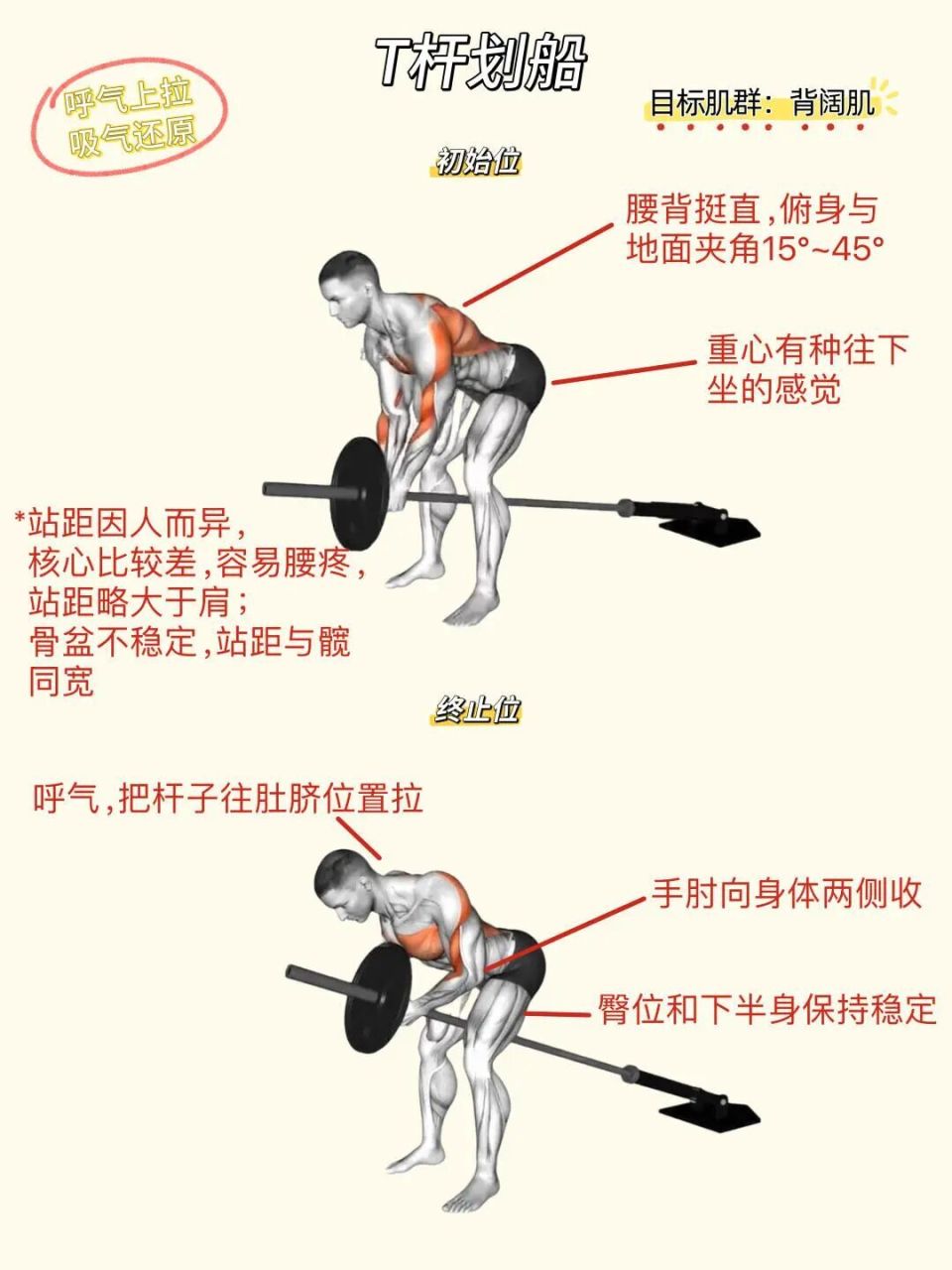 分享私教背部训练动作合集 ️背部线条感_腾讯新闻
