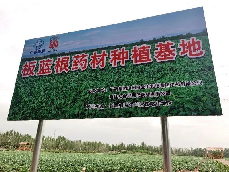 天气预报喀什市_天气预报喀什麦盖提_喀什天气预报