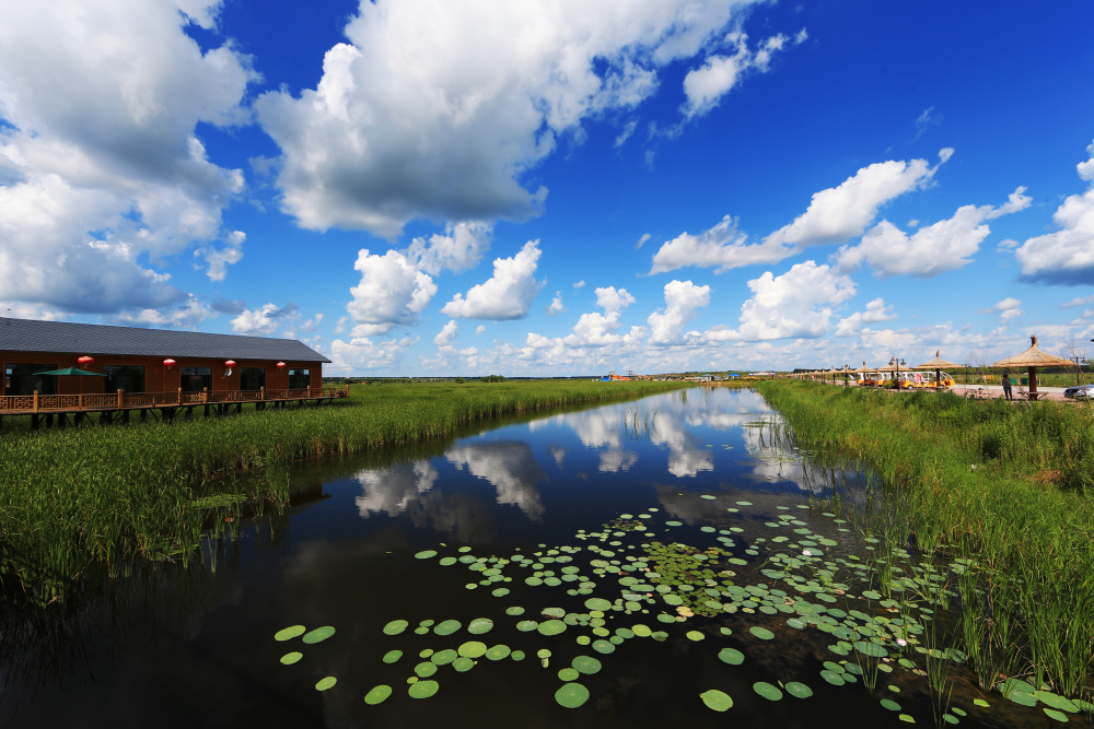 看一眼就爱上的龙江美来绥化寻夏日之梦