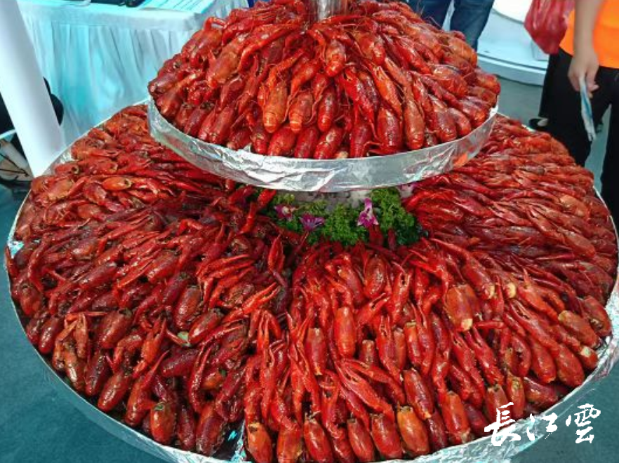 第十四届湖北(潜江)龙虾节5月19日开幕_腾讯新闻
