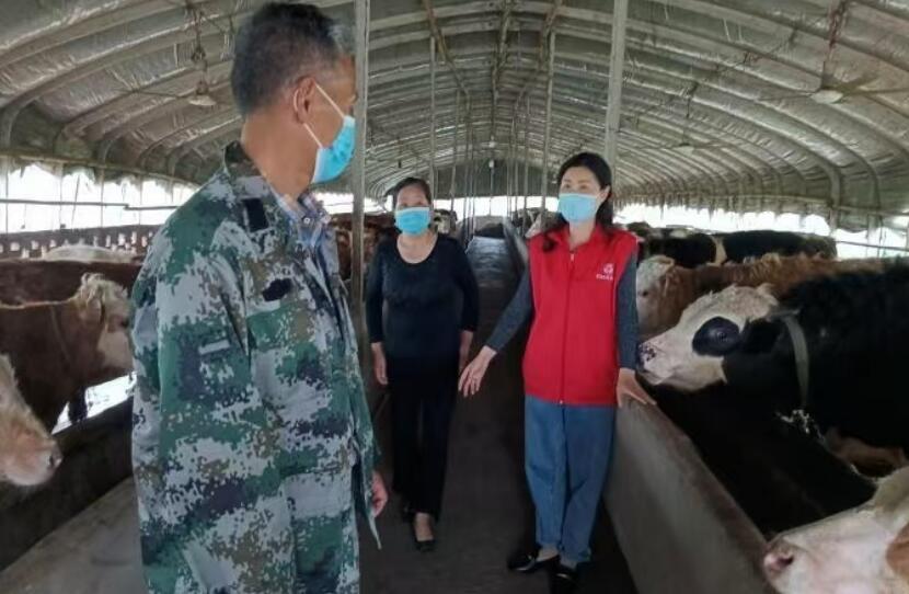 全国人大代表刘琴：扎根泥土传两会 躬身力行促振兴_腾讯新闻