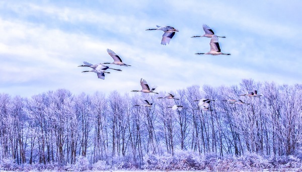 齐齐哈尔市冰雪旅游百日行动启幕