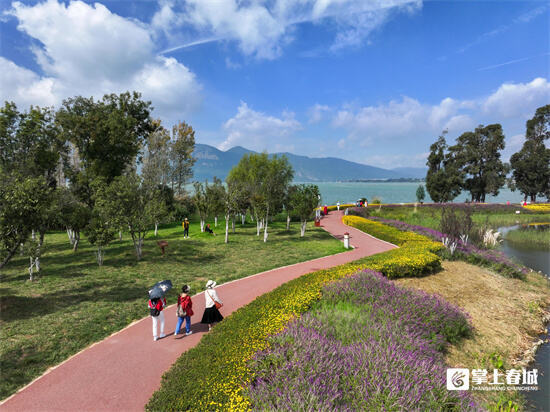 图集|星海半岛湿地公园 鸟儿们的幸福家园"_腾讯新闻