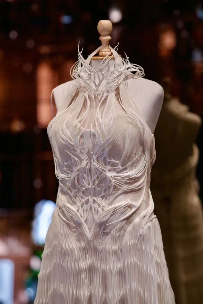 iris花费近1个月制作的3d打印婚纱