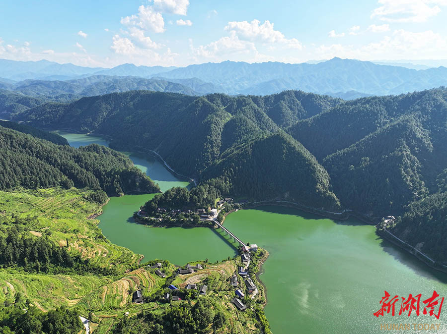 8月7日,城步苗族自治县白云湖水库,郁郁葱葱的森林与碧绿的湖水相映成