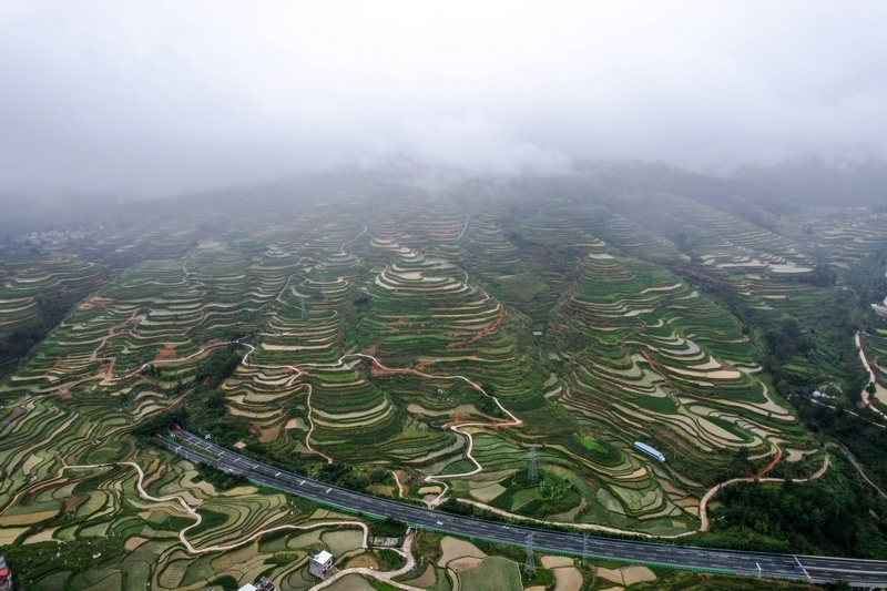 罗甸:云上梯田美如画