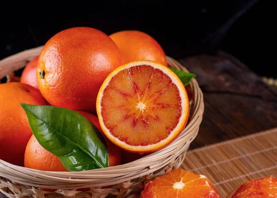 资中血橙"勇闯"东北 让世界爱上内江"甜果"