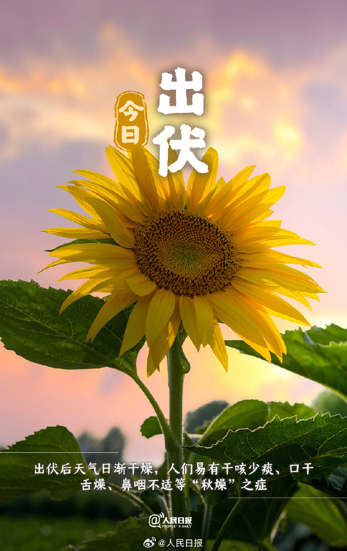 今日出伏!超长三伏天终于结束了,这些养生知识要注意_腾讯新闻