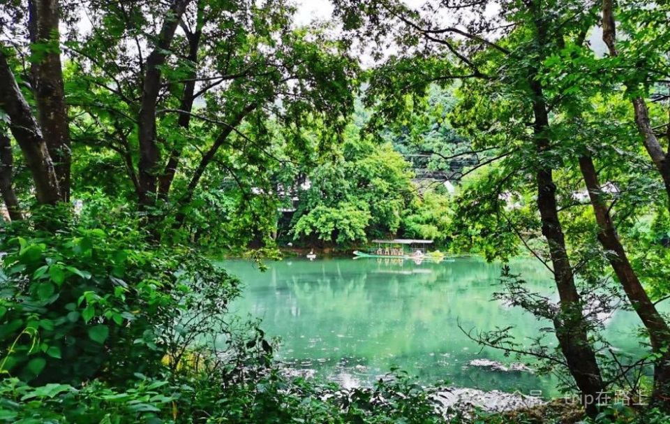 宁波版"绿野仙踪",太美了,在这里赏景,人生就不"卷"了