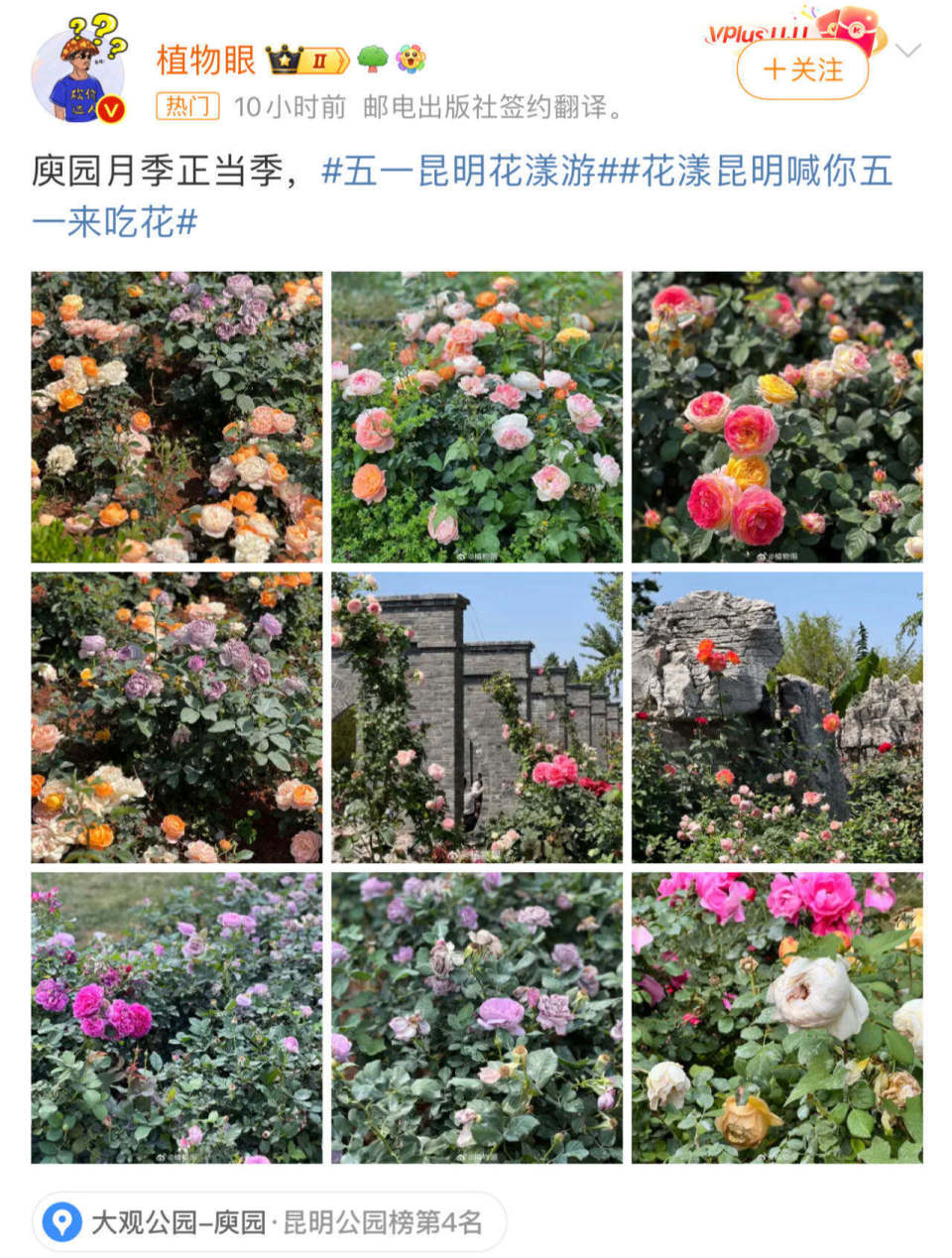 大v刷屏!昆明"花漾"持续上热搜,网友:好想去