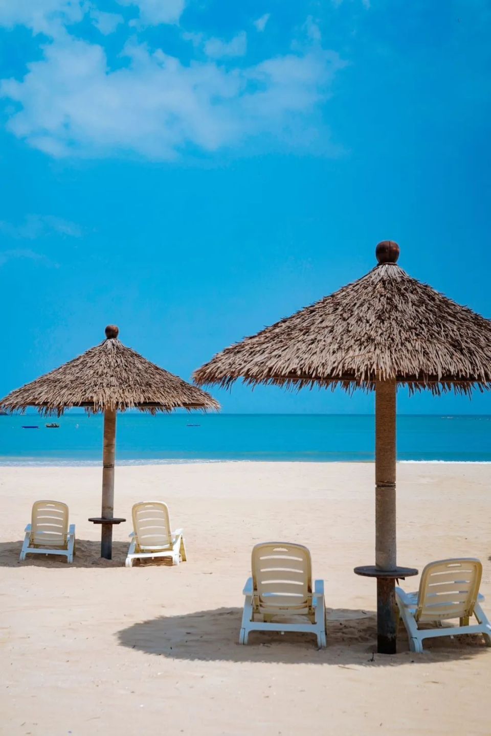 赶海抓蟹,这个夏天总要安排上!