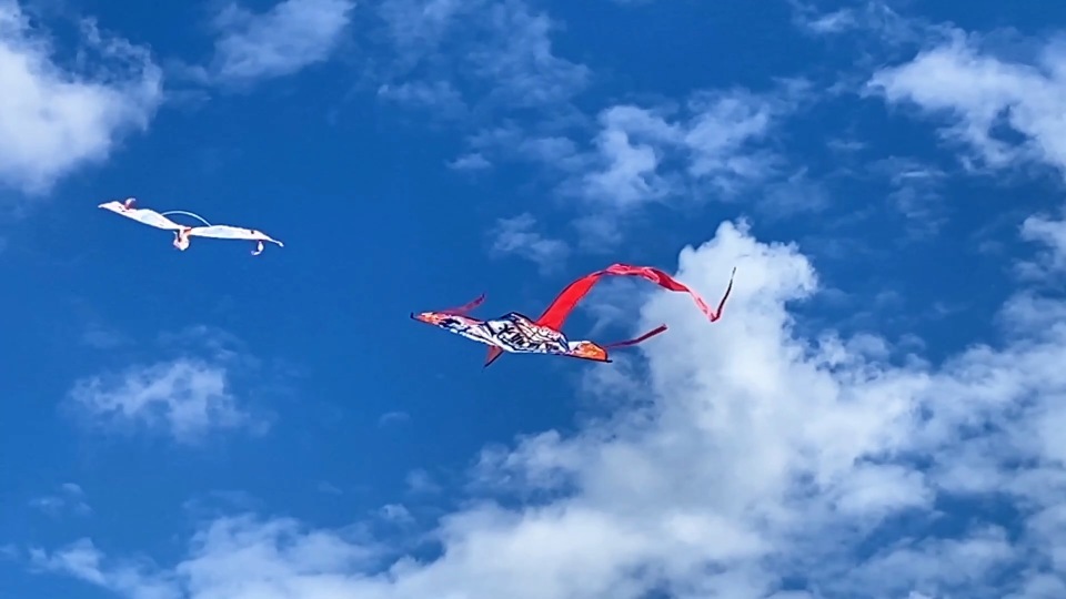 "潍坊罗马国际风筝节"活动在意大利举行_腾讯新闻