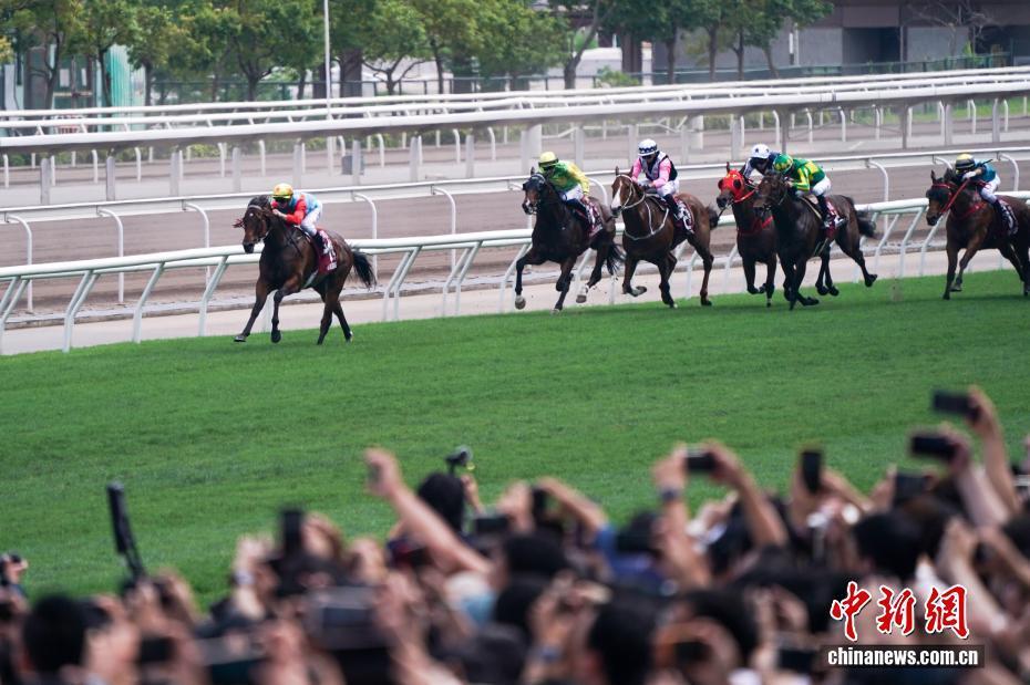 香港赛马“嘉应高升”缔造20场连胜纪录_腾讯新闻