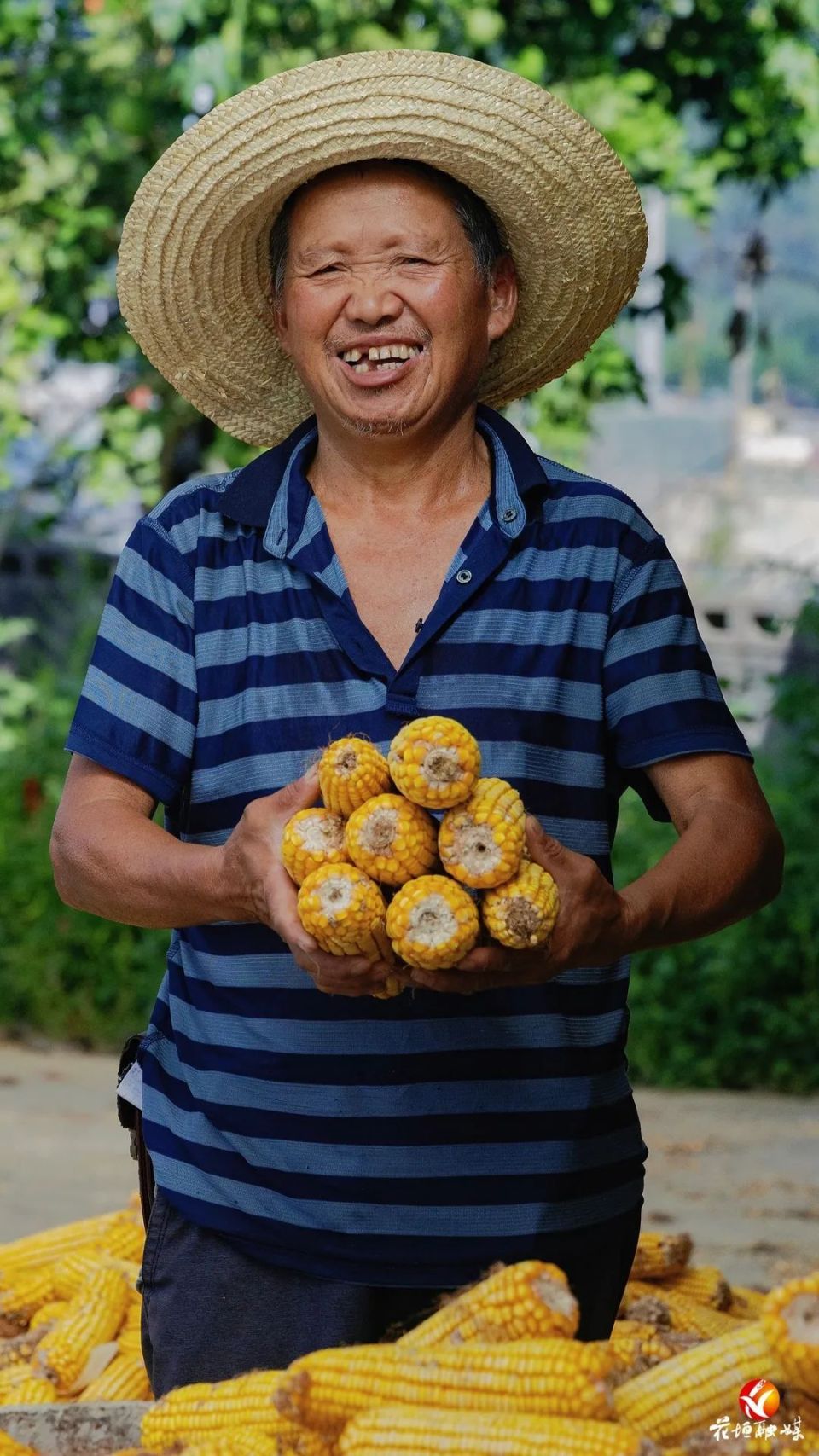 一起来感受一下丰收的喜悦今天是第六个中国农民丰收节农民的笑容绽放