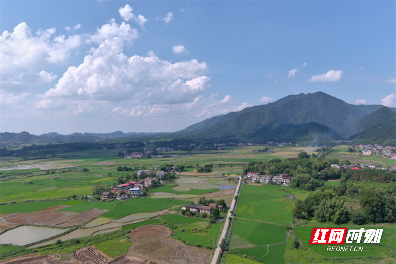 永兴县鲤鱼塘镇全面推进人居环境整治,打造美丽宜居新家园