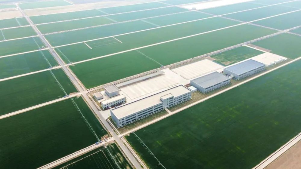 "国家生物育种产业创新中心(以下简称中心)是我国农业领域首个国家