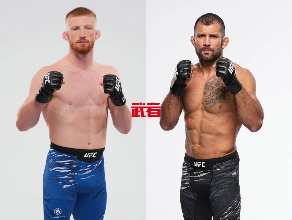 UFC 322：博·尼卡尔vs鲁道夫·维埃拉