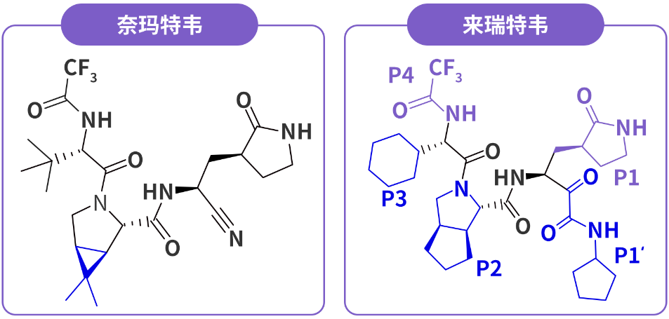 看专家如何选择抗病毒方案_腾讯新闻