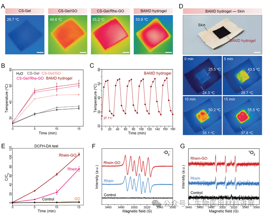 医用抗菌水凝胶怎么用《AFM》湖北大学吴水林／河工大刘想梅： 多模式消毒功能的强粘附Janus水凝胶，用于多重耐药金葡球菌感染的开放性伤口快速修复_https://www.jmylbn.com_新闻资讯_第5张
