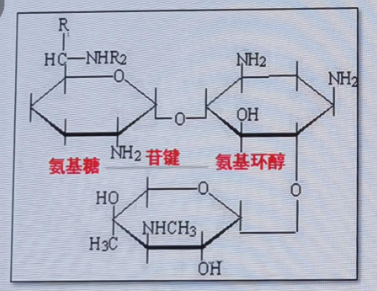 有创呼吸机怎么做雾化治疗下呼吸道铜绿假单胞菌感染，吸入抗菌药物怎么用？_https://www.jmylbn.com_新闻资讯_第3张