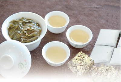 知茶爱茶  共品茶香(经济新方位)