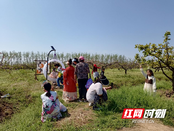 大通湖区北洲子镇春风吹暖花经济以花为媒产业兴