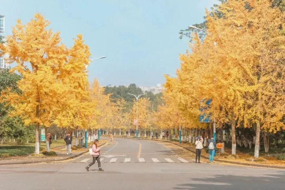 重慶大學在全國排第幾_重慶大學全國排行_重慶大學在全國高校排名