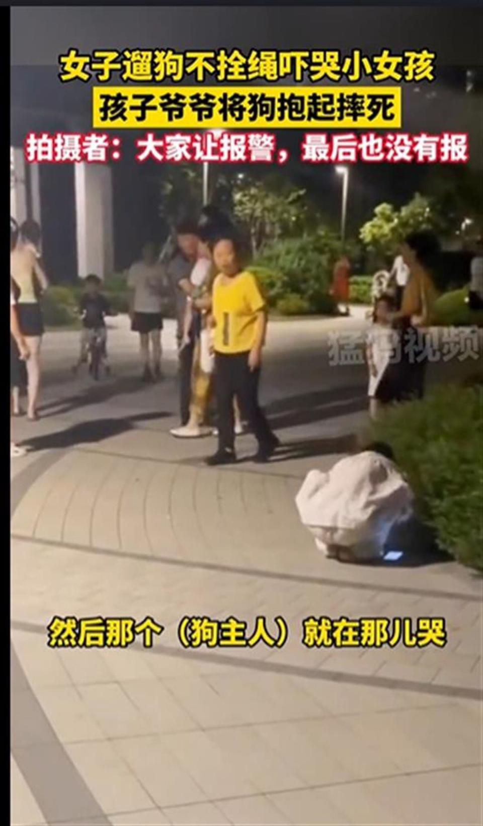 宠物狗不牵绳吓哭小孩被摔死，不能闹出事来才想起文明养狗_腾讯新闻