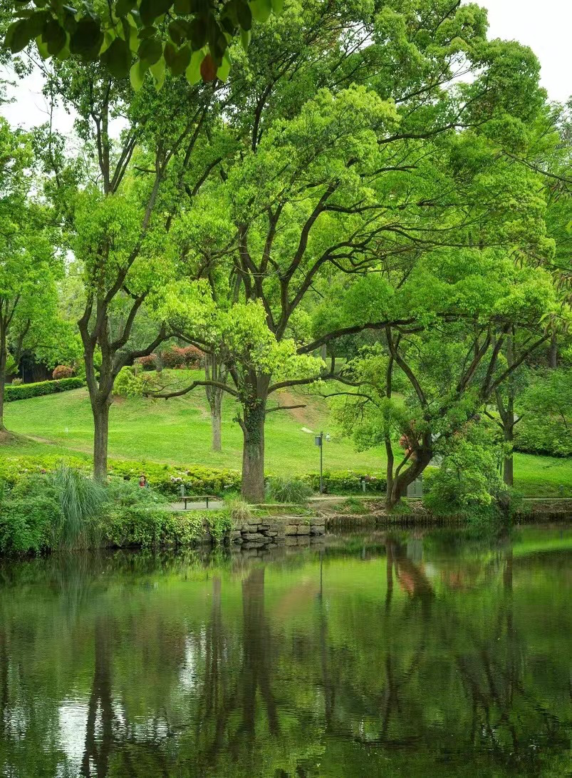 贵阳的夏天,是______颜色?