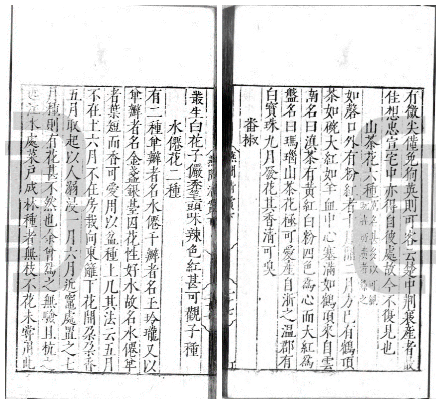 作物的故事︱谁人首载辣椒?——高濂《遵生八笺》"番椒"考