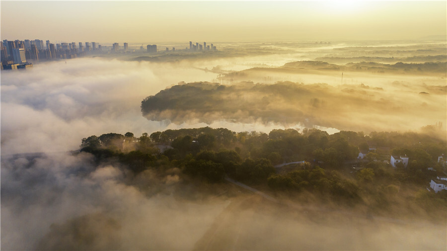 安徽芜湖湾沚区冬雾飘渺似仙境