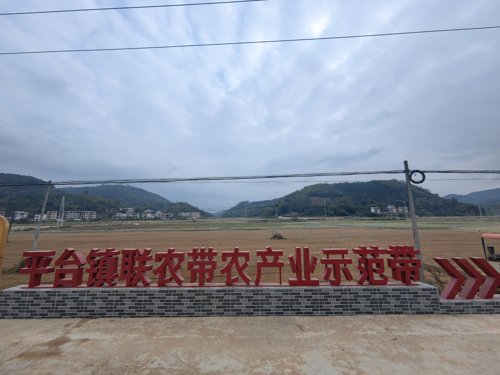 引入佛山资金近700万郁南县平台镇5个三水帮扶项目次第开花