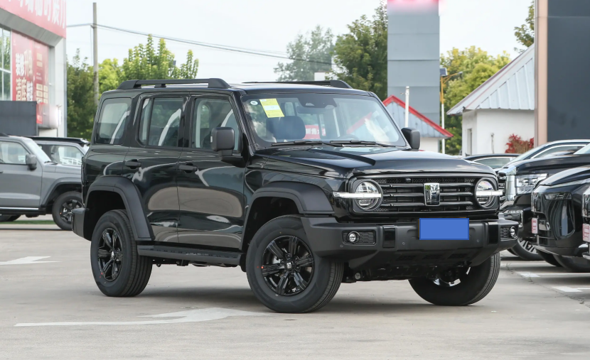 0t 8at,坦克300挑战者陪你实现诗和远方