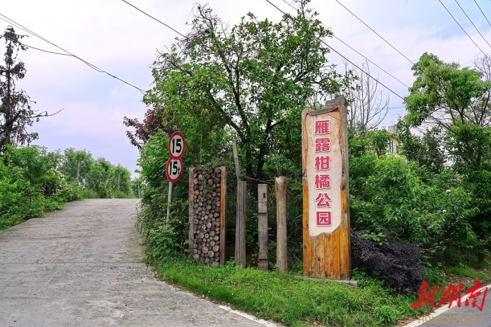 "绿化"工程广植35000余棵果木,绿化85亩花卉,乡村旅游生机勃勃;"亮化"