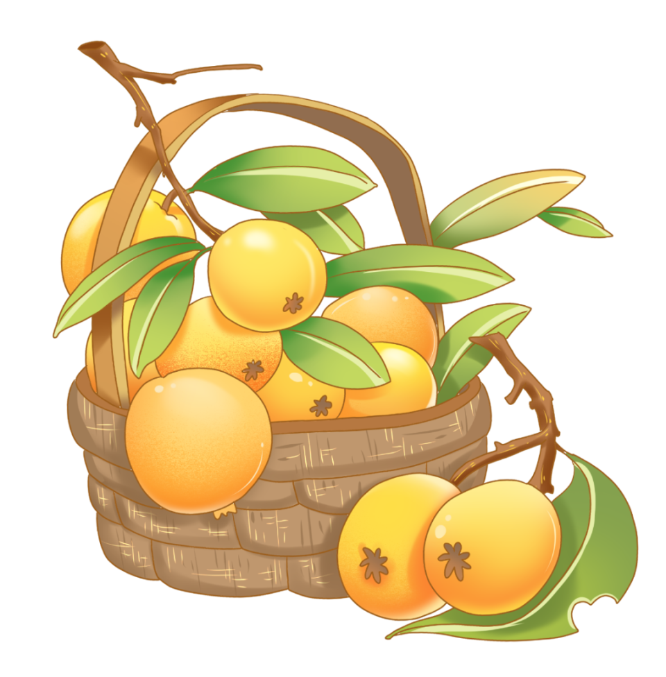 咱们家乡有特产:又是一年枇杷黄